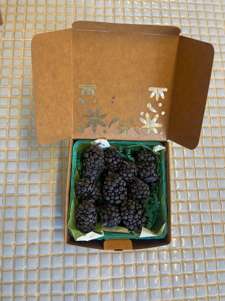 happy organics blackberry beeswax box of candles