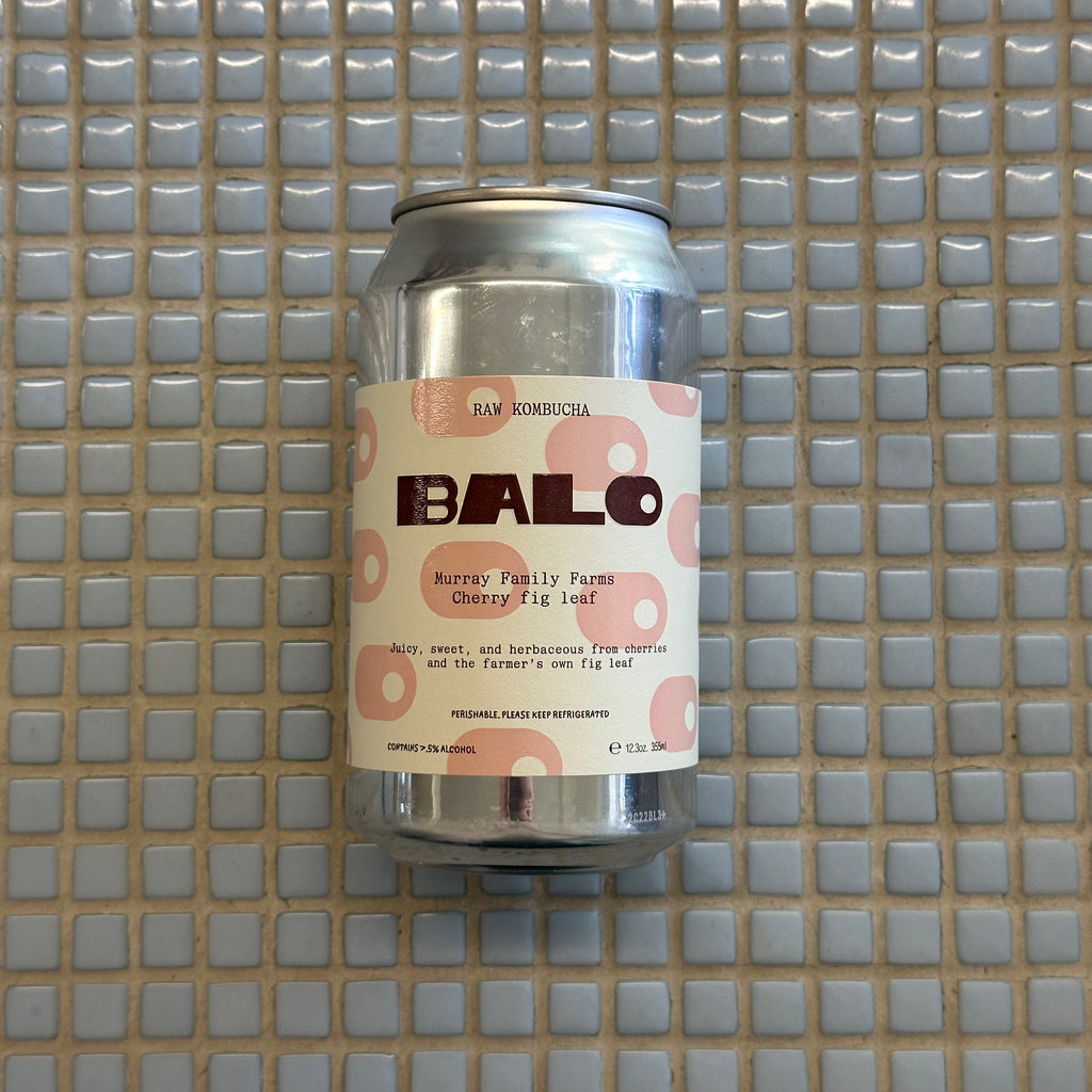 balo cherry fig leaf raw kombucha 12oz can