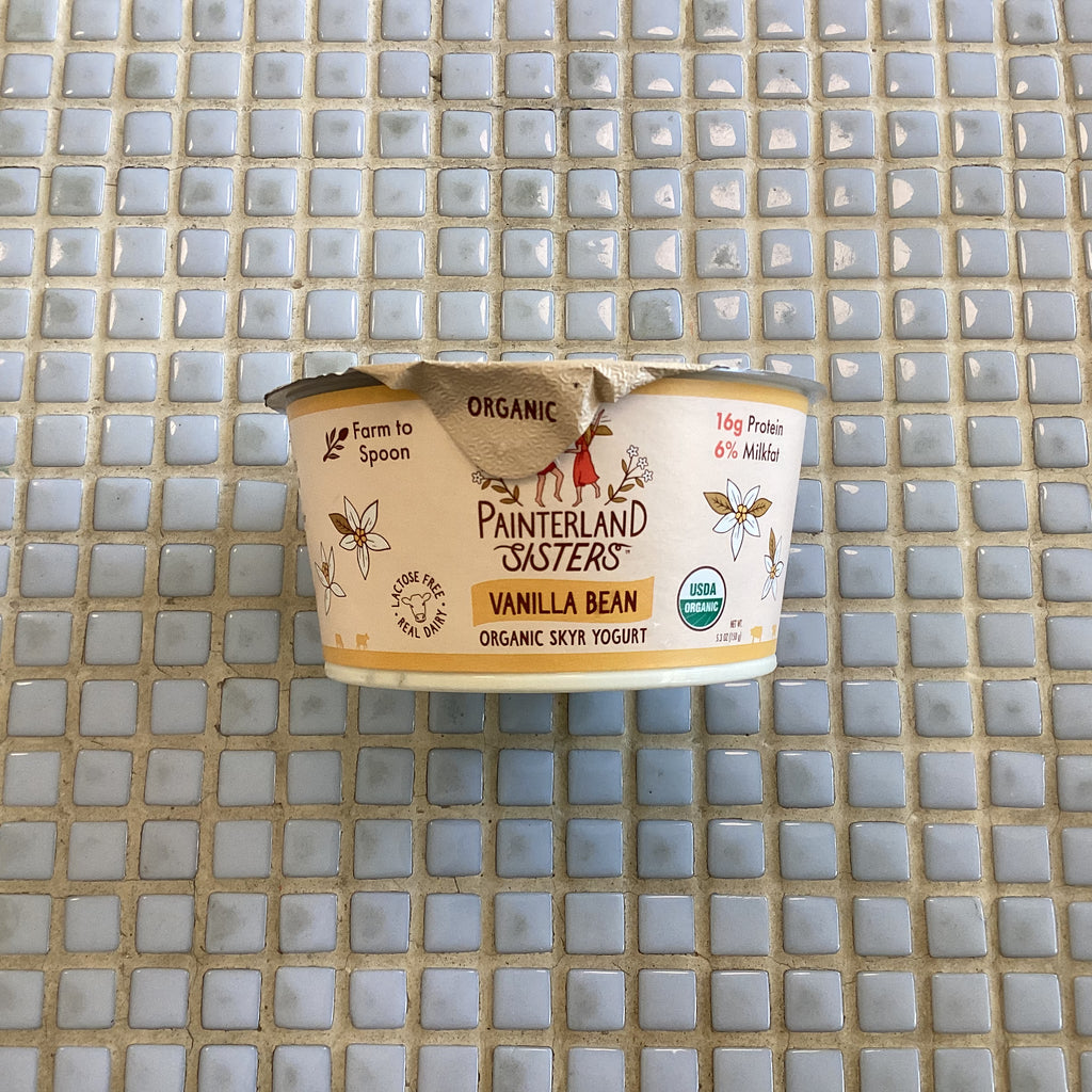 Painterland sisters yogurt vanilla bean