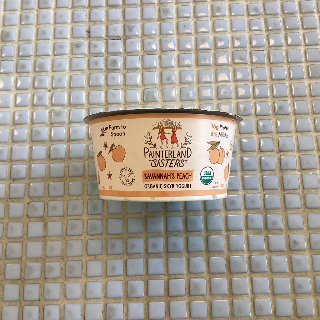 Painterland sisters yogurt savannahs peach