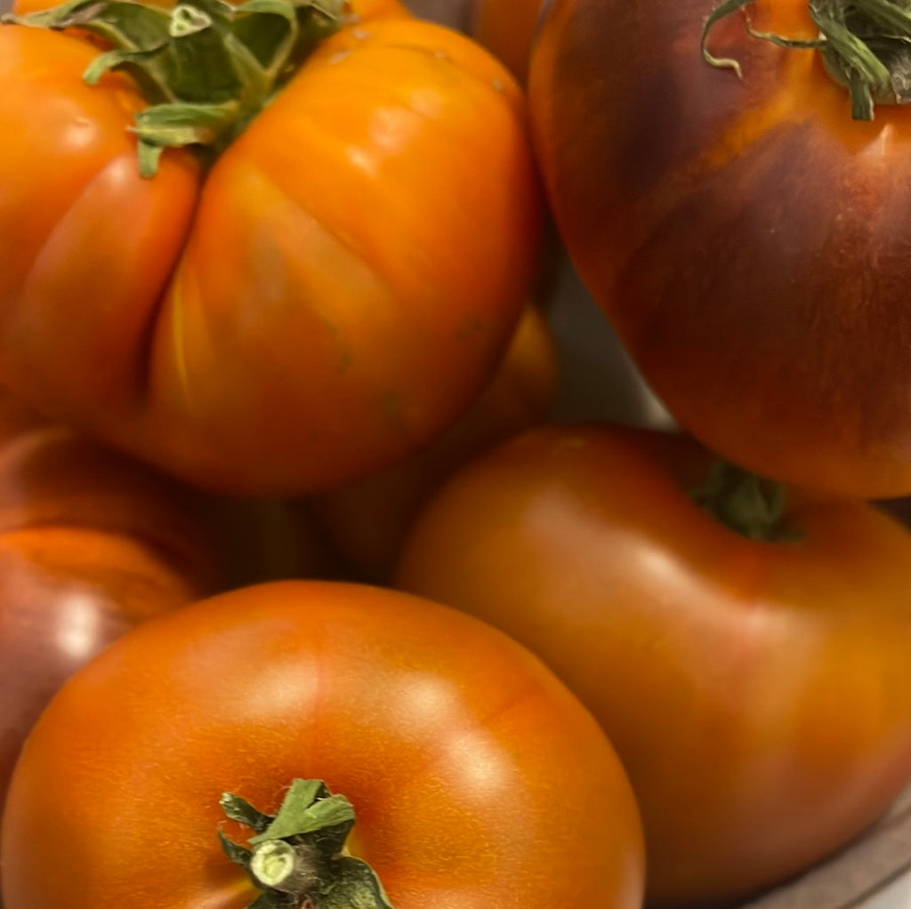 Single heirloom tomato