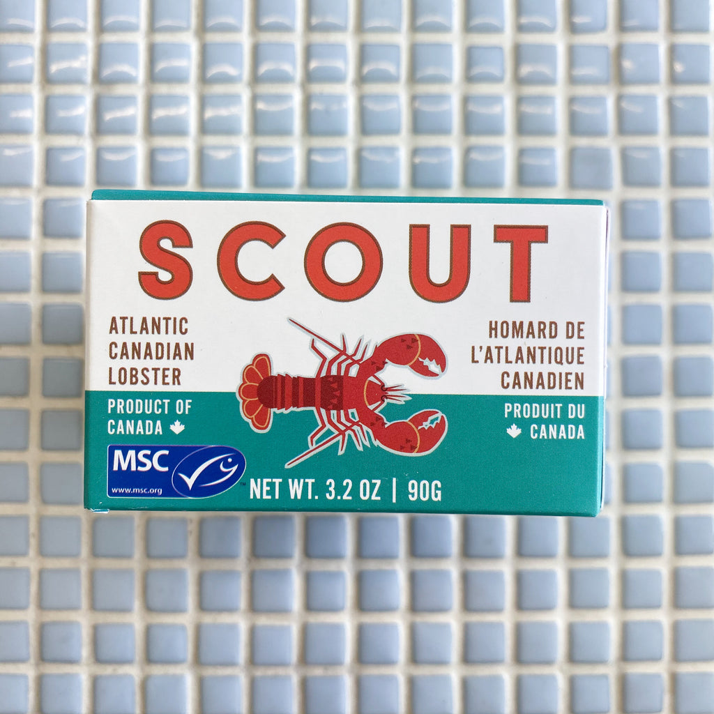 scout canning atlantic canadian lobster