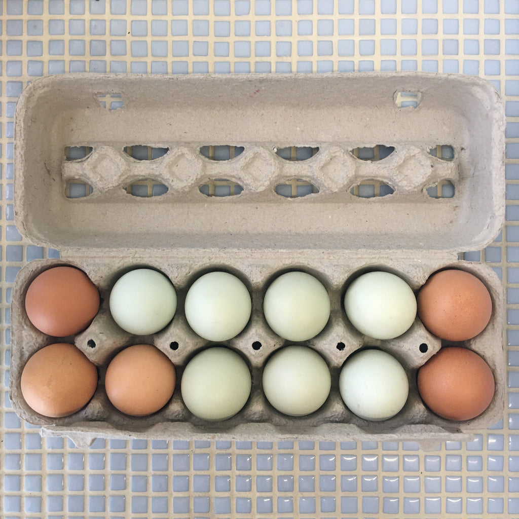 farmers market eggs dozen